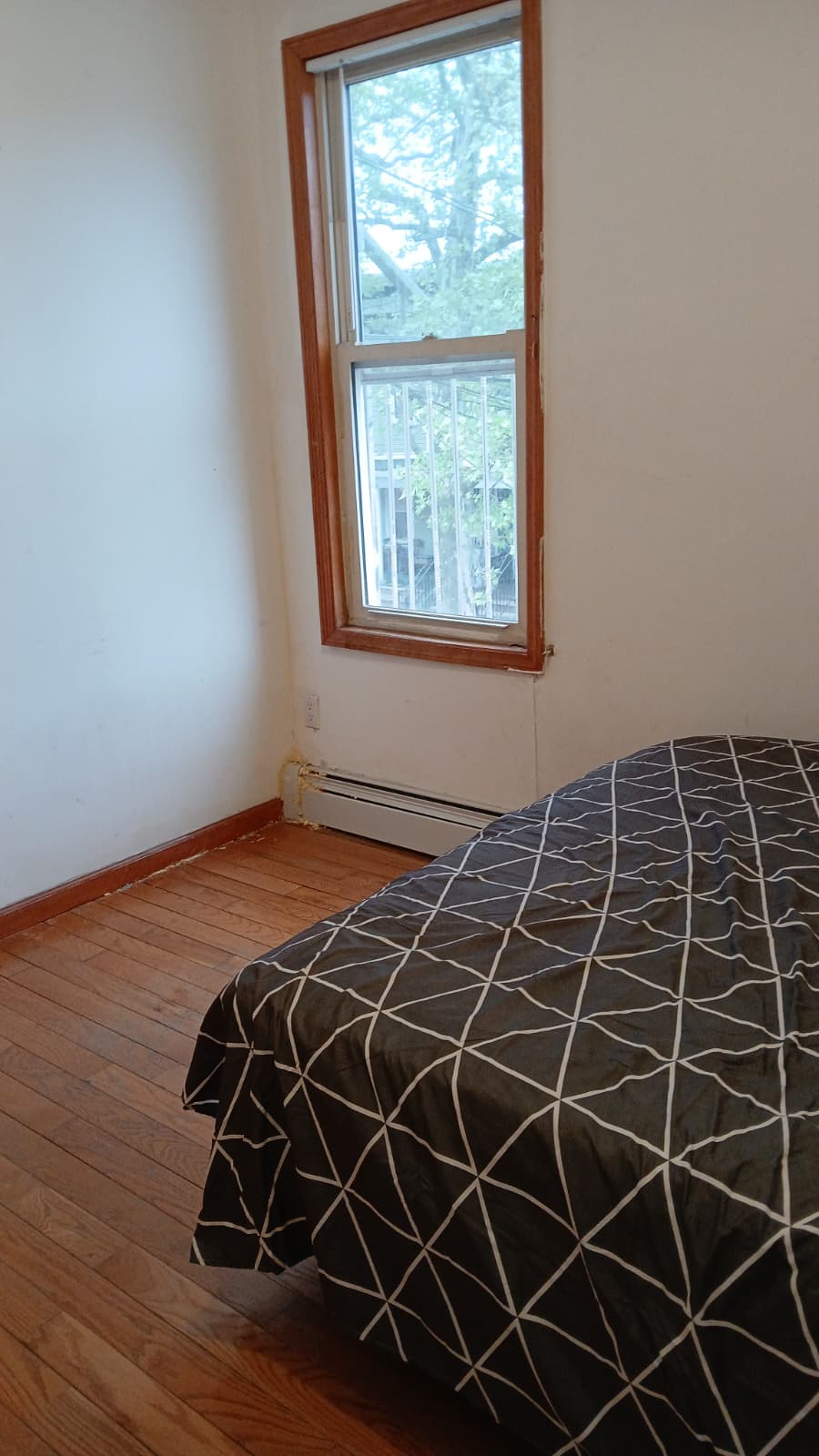 WhatsApp-Image-2026-04-28-at-6.38.50-PM